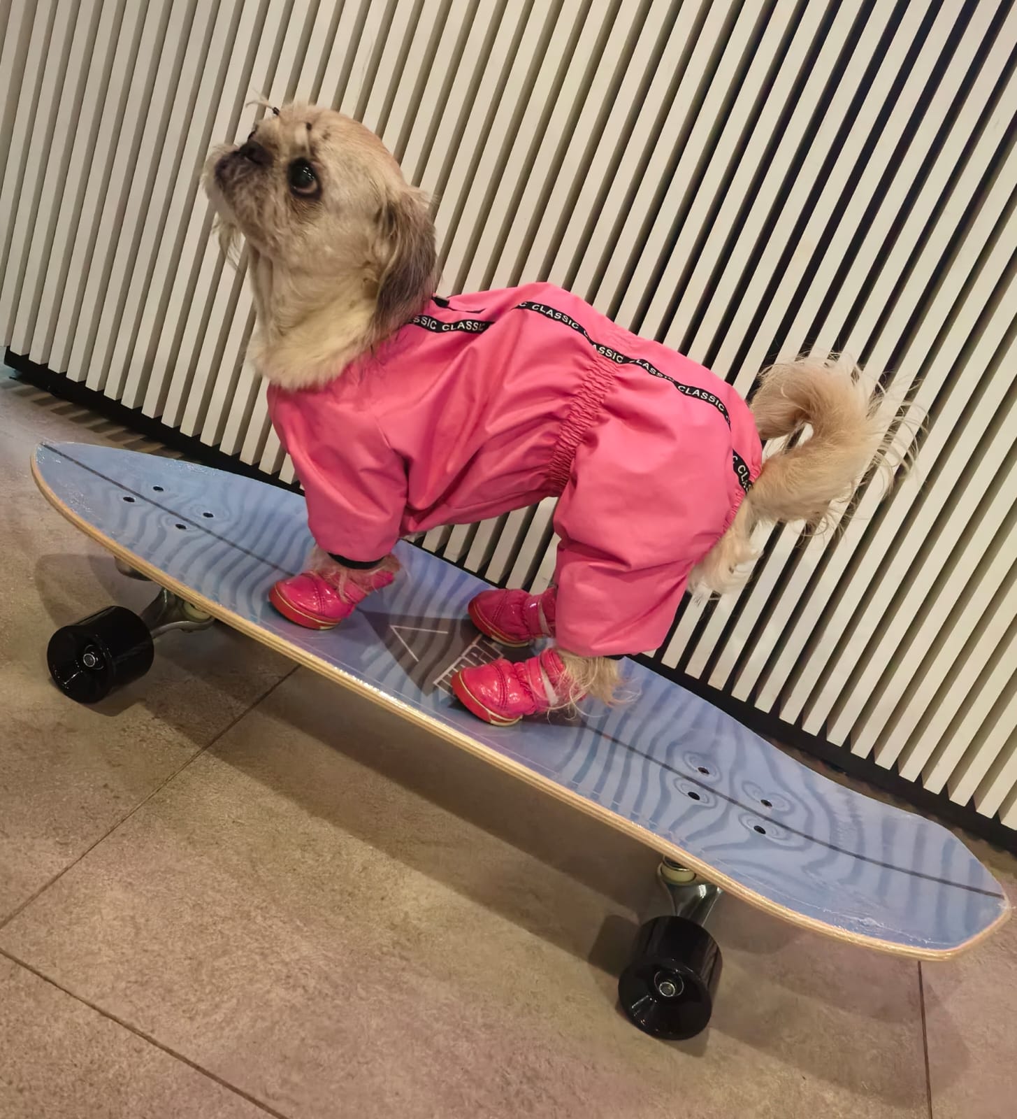 Описание изображения